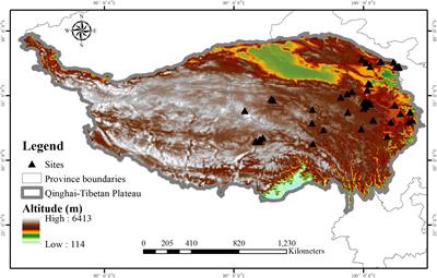 Comprehensive analysis of grazing intensity impacts alpine grasslands across the Qinghai-Tibetan Plateau: A meta-analysis